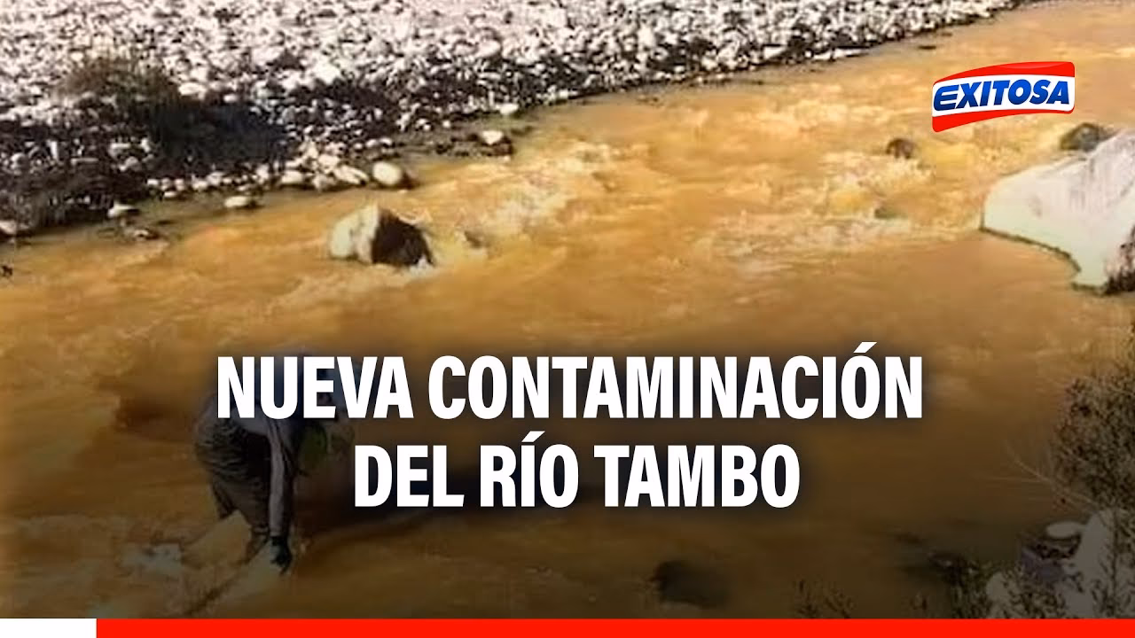 ¿Qué factores influyen en la cantidad de efluentes en los tambos?