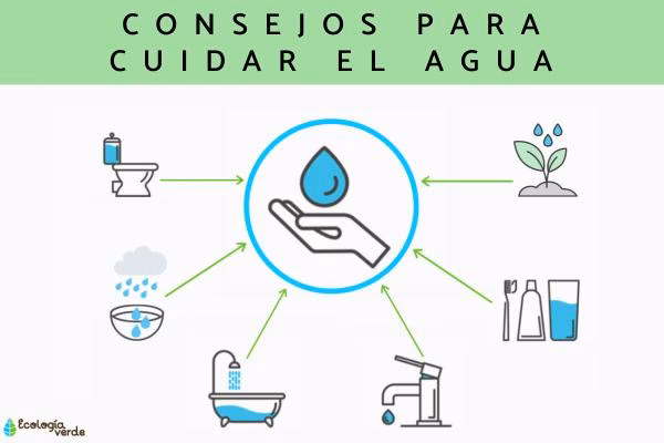 ¿Cómo no derrochar agua?