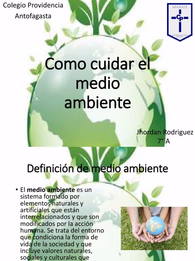 ¿Qué es el cuidado ambiental?