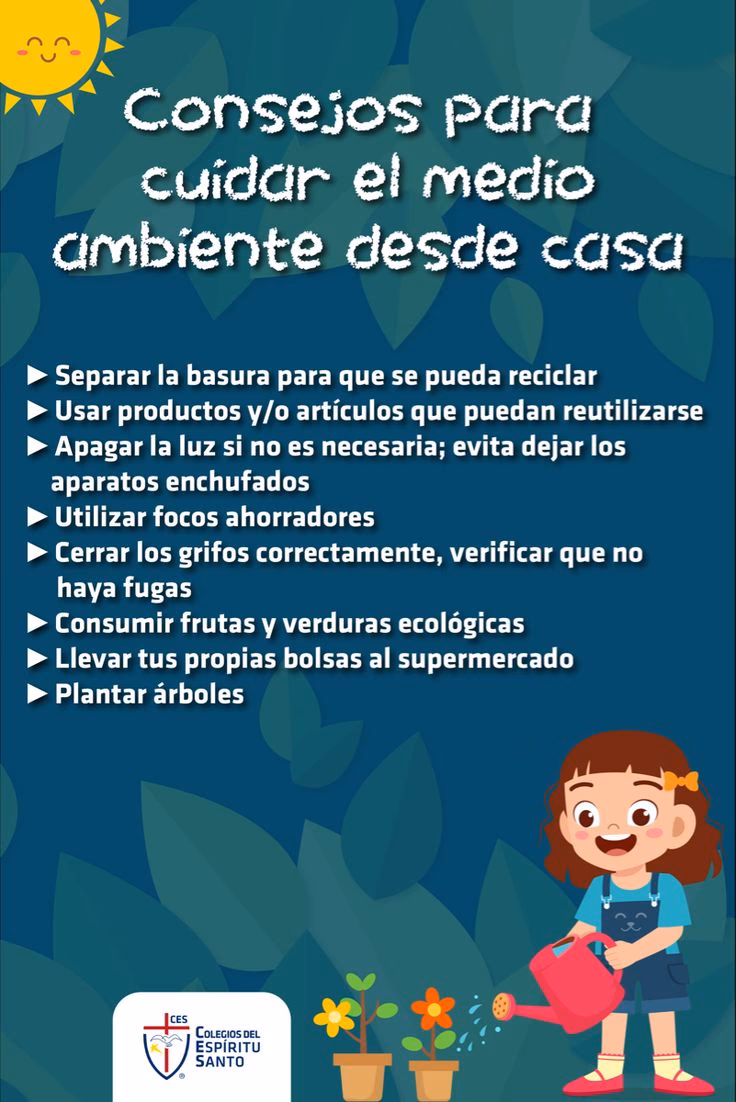 ¿Por qué es importante cuidar el entorno?