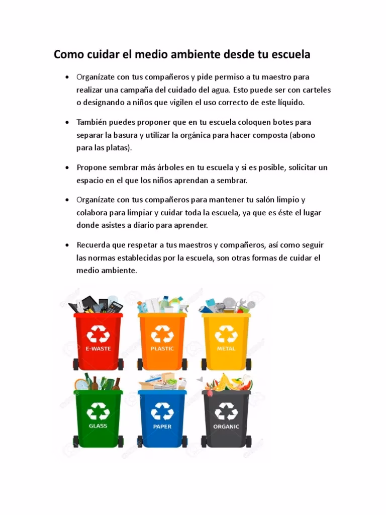 ¿Cómo podemos proteger el medio ambiente en nuestro hogar y en la Escuela?