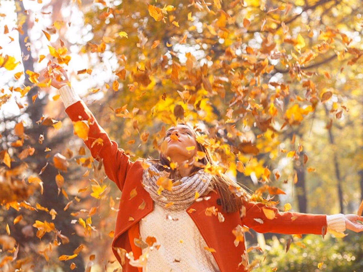 ¿Cómo se debe abonar las plantas en otoño?