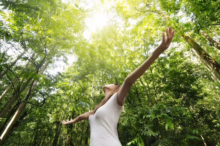 ¿Cómo evitar la contaminación del Medio Ambiente?