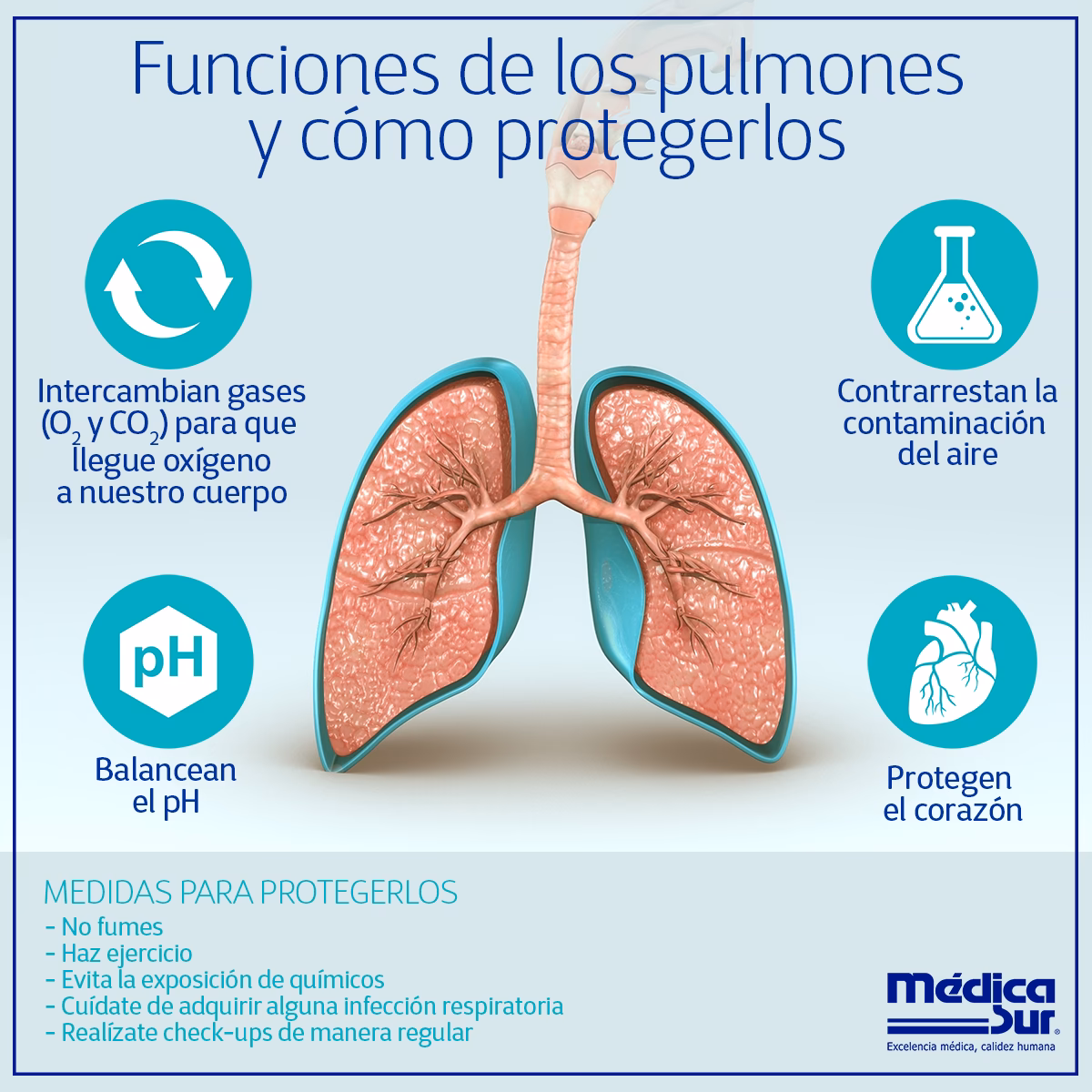 ¿Cómo tener unos pulmones sanos?
