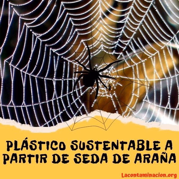 ¿Cómo se desintegran las telas de araña?