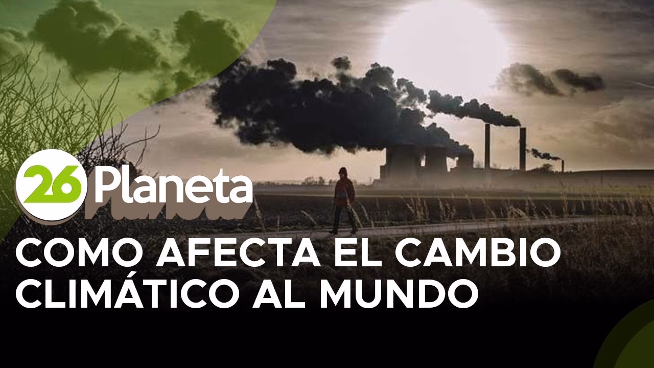 ¿Cómo podemos hacer frente al cambio climático?
