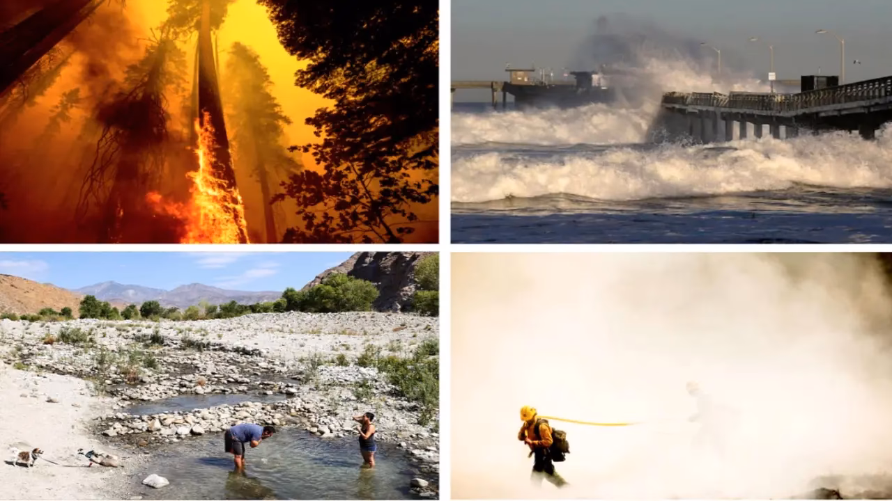 ¿Cómo podemos hacer frente al cambio climático?