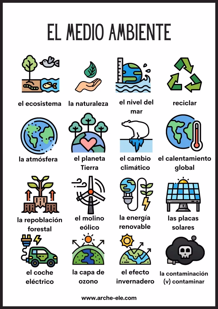 ¿Cómo enseñar sobre el medio ambiente?