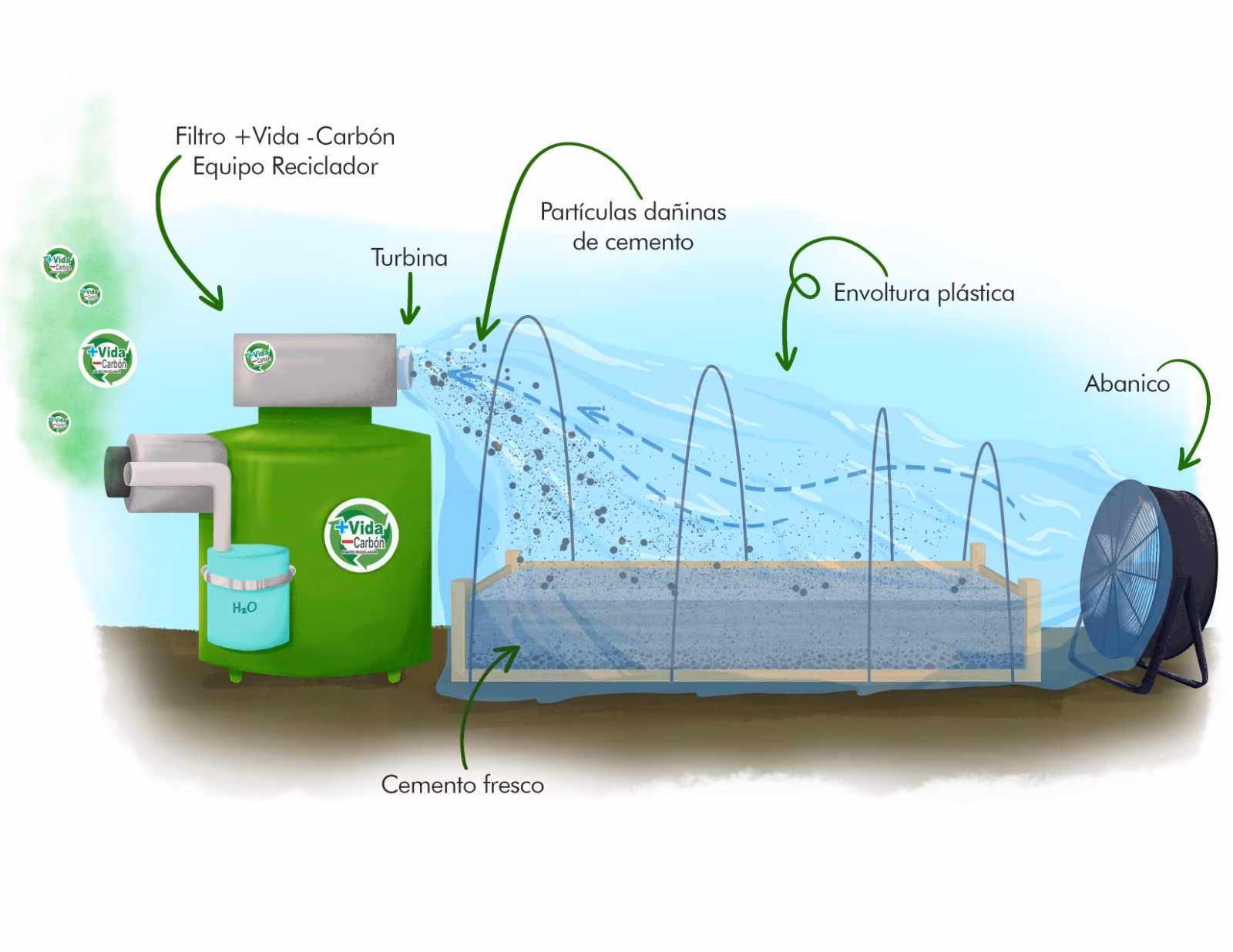¿Cuáles son los contaminantes más comunes que se encargan de filtrar las plantas?