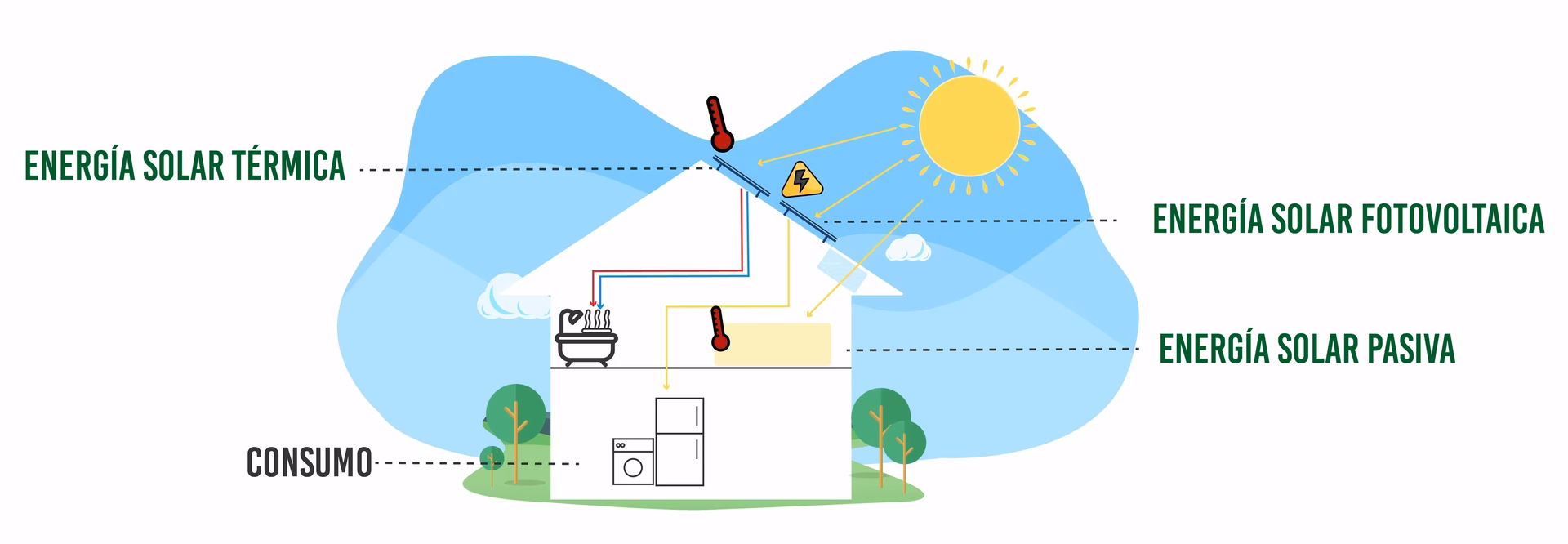 ¿Cómo funciona un ecosistema?