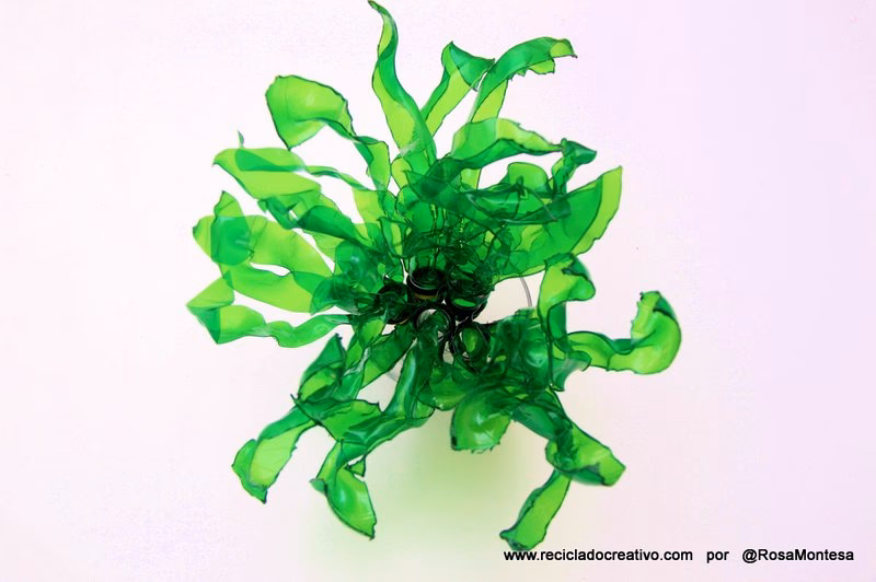 ¿Cómo se utilizan los productos residuales de las algas marinas?