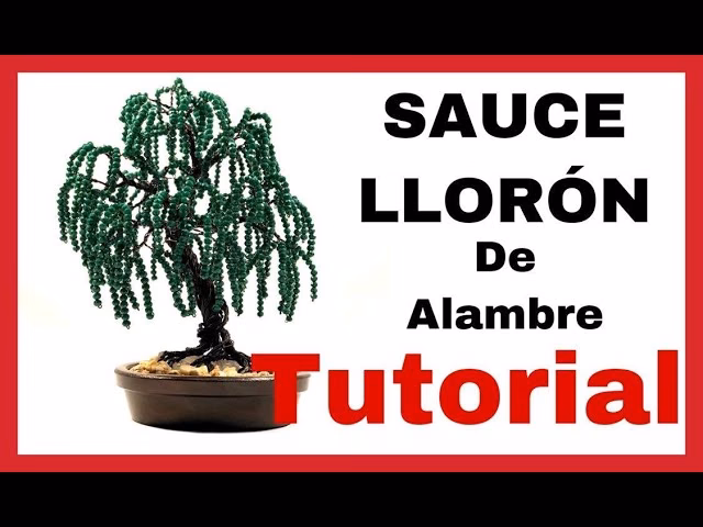 ¿Cuáles son los árboles de sauce?
