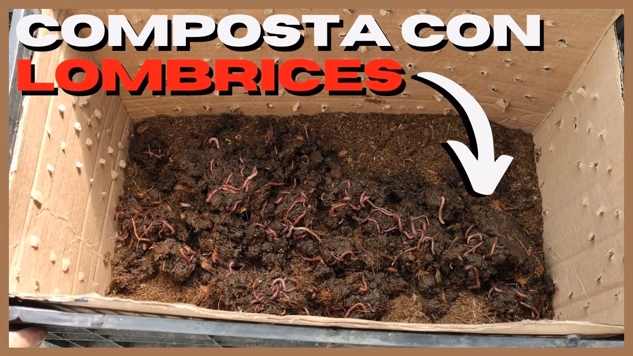 ¿Cómo se hace una lombricomposta?