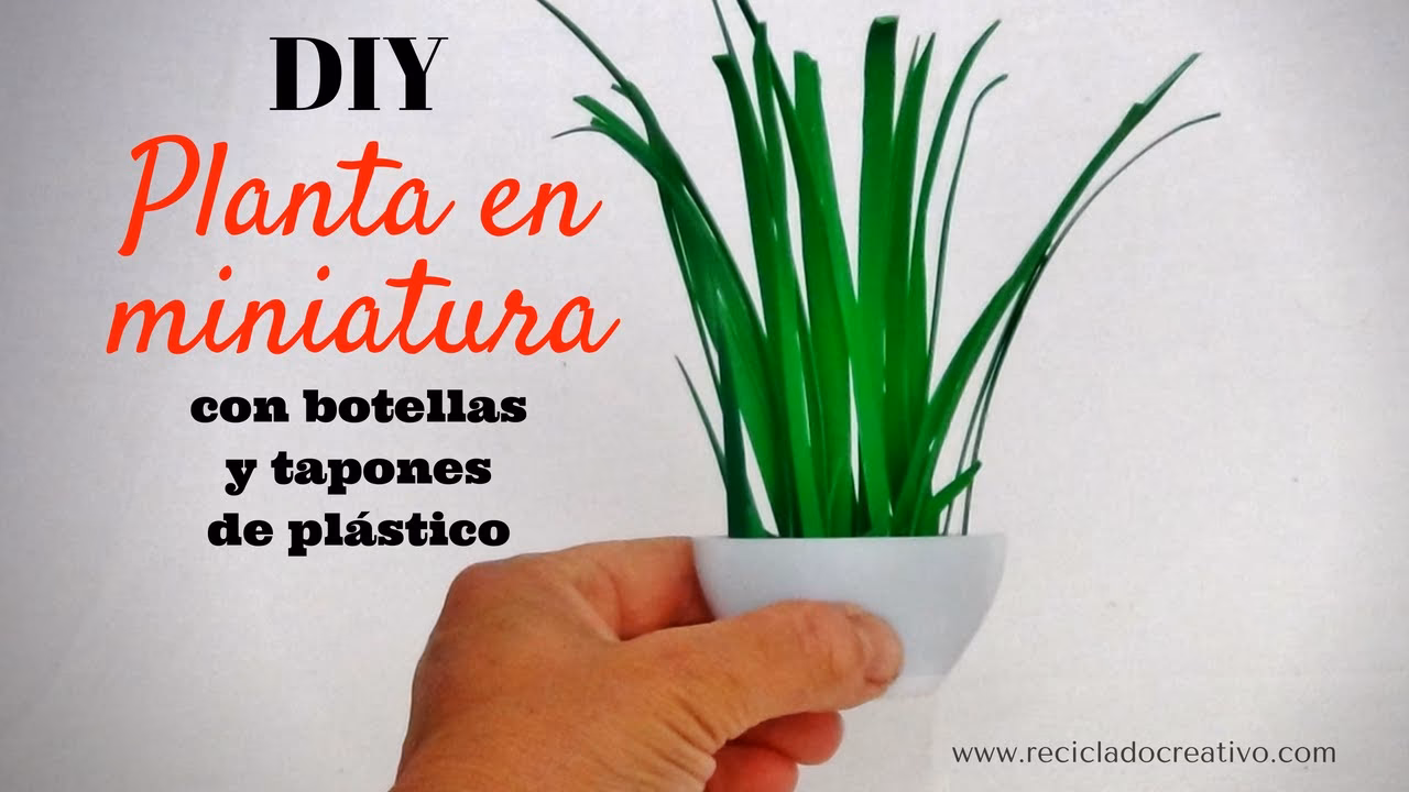 ¿Cómo se pueden reciclar los vasos para plantar semillas?
