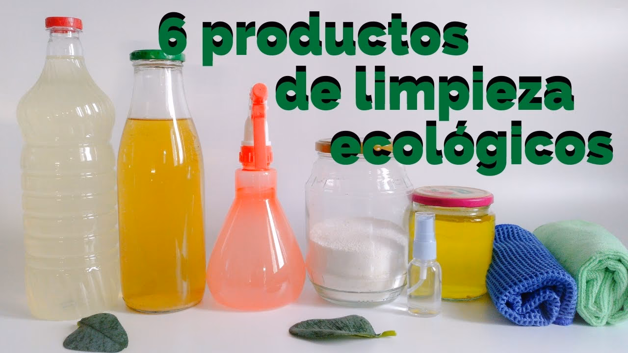 ¿Cómo estructurar un negocio de limpieza sostenible?