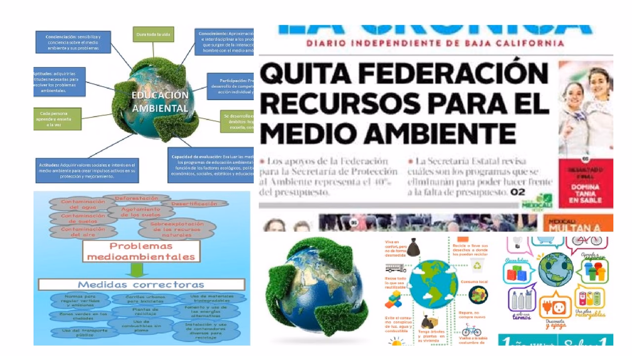 ¿Cómo hacer un periódico mural?