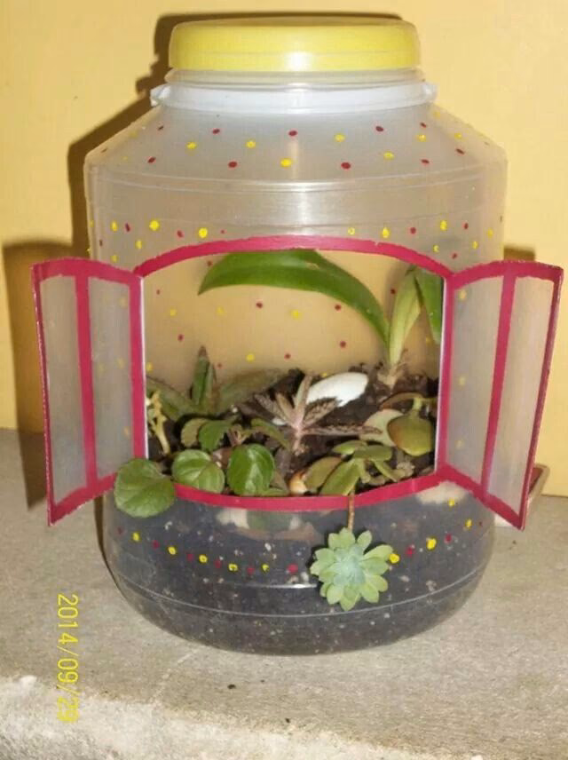 ¿Cómo hacer un terrario con materiales reciclados?