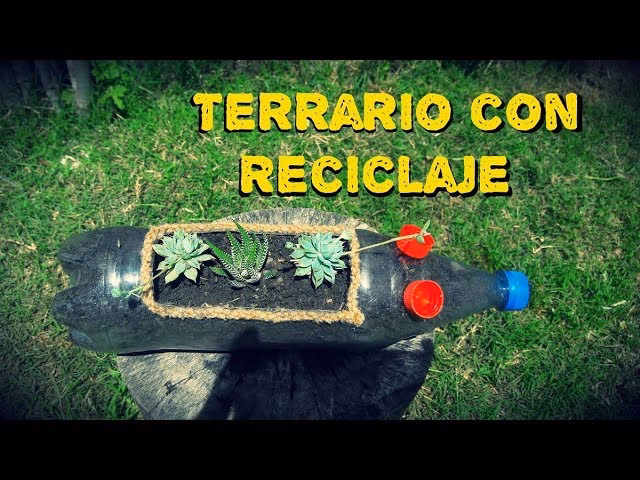 ¿Cómo decorar un terrario en un envase de vidrio reciclado?