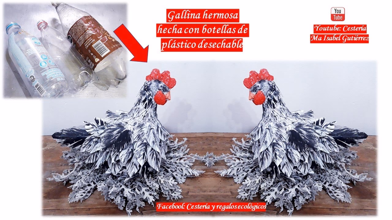 ¿Cómo elegir el diseño de una gallina?