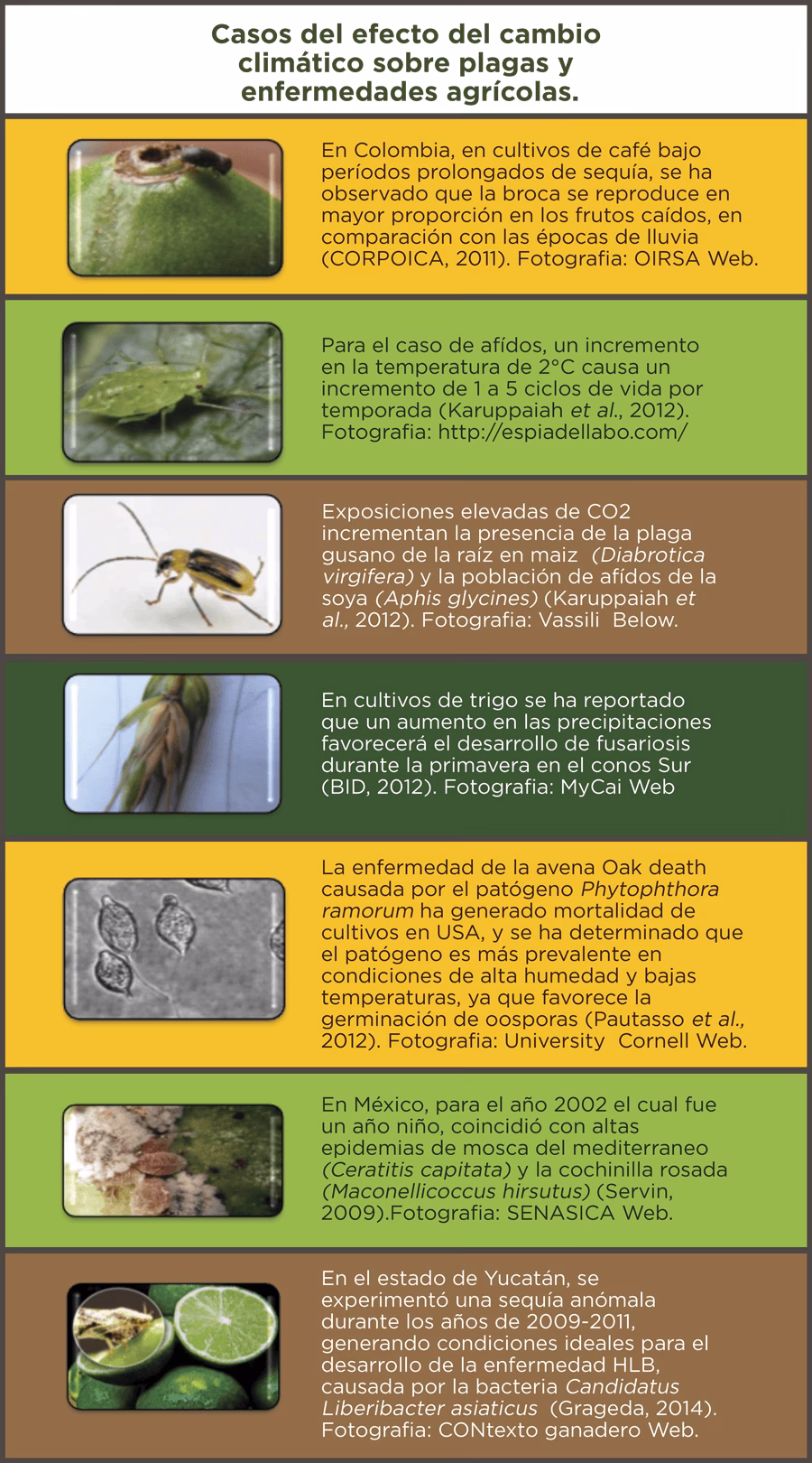 ¿Cuáles son los aspectos más importantes del control de plagas?
