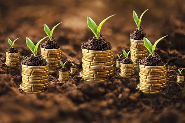 ¿Cuáles son las consecuencias del proceso neoliberal?