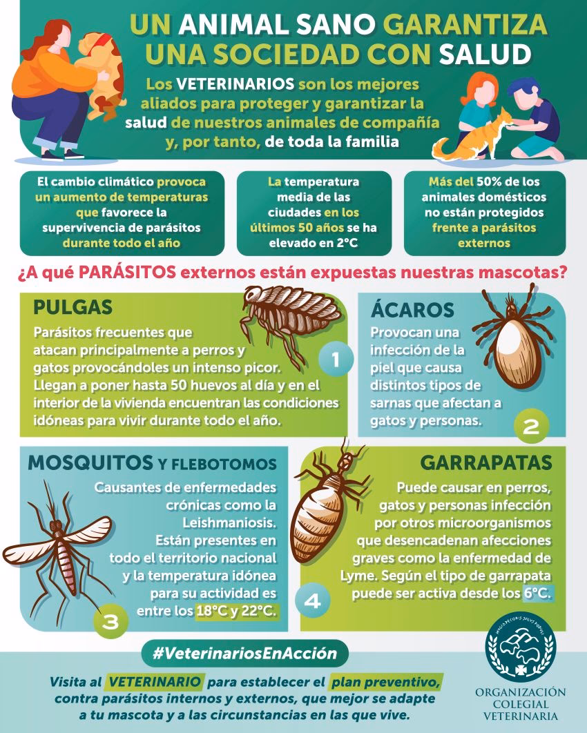 ¿Cuáles son los paraísos naturales que pueden desaparecer en poco tiempo?