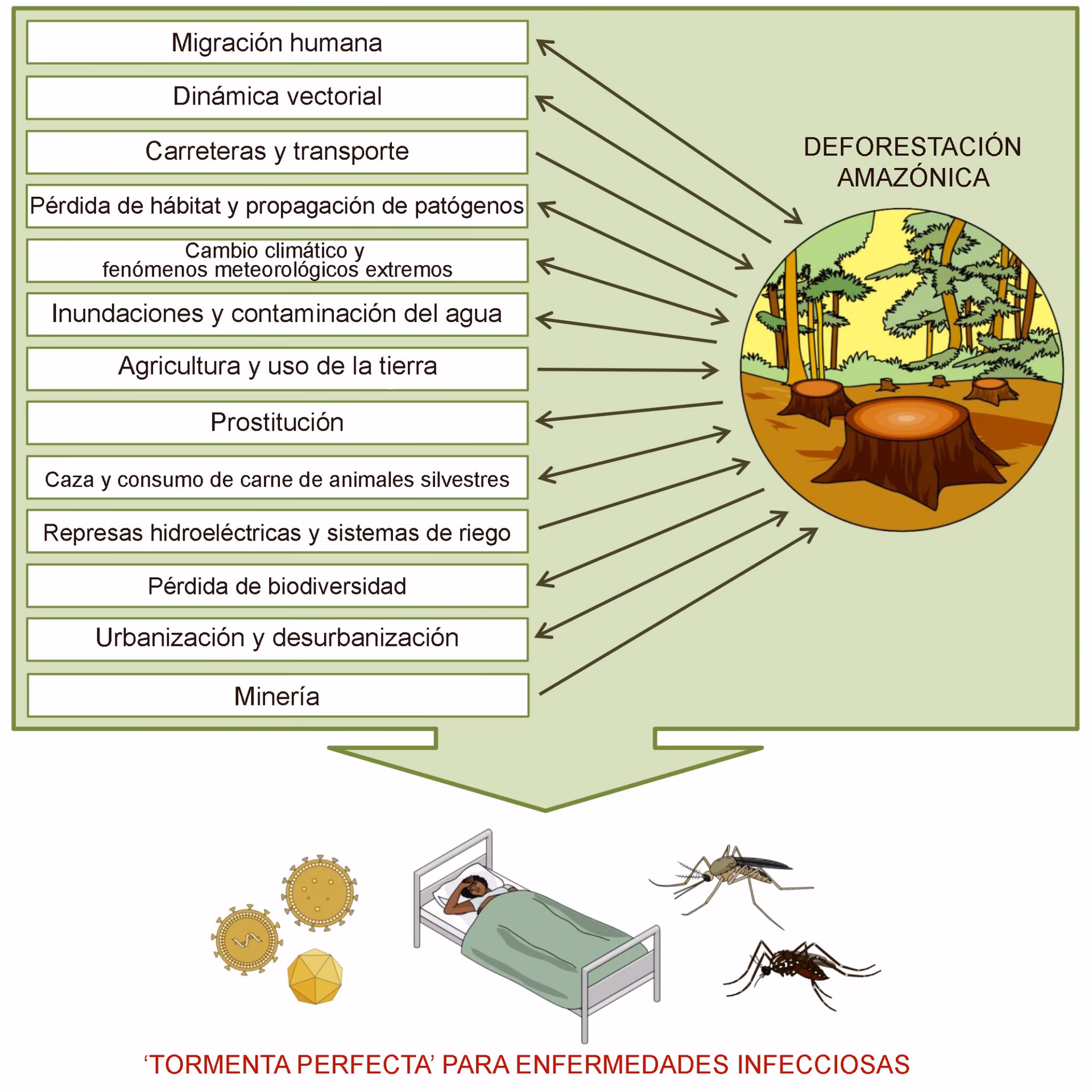 ¿Cuál es el impacto de la deforestación en la calidad de vida humana?