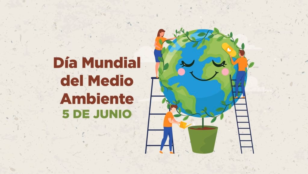 ¿Cómo afecta el DDT al medio ambiente?