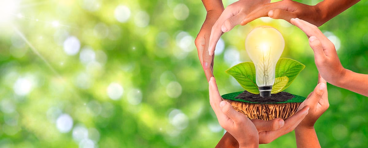 ¿Cómo se mide la sostenibilidad ambiental?