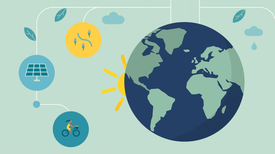 ¿Cómo responder a los efectos del calentamiento global?