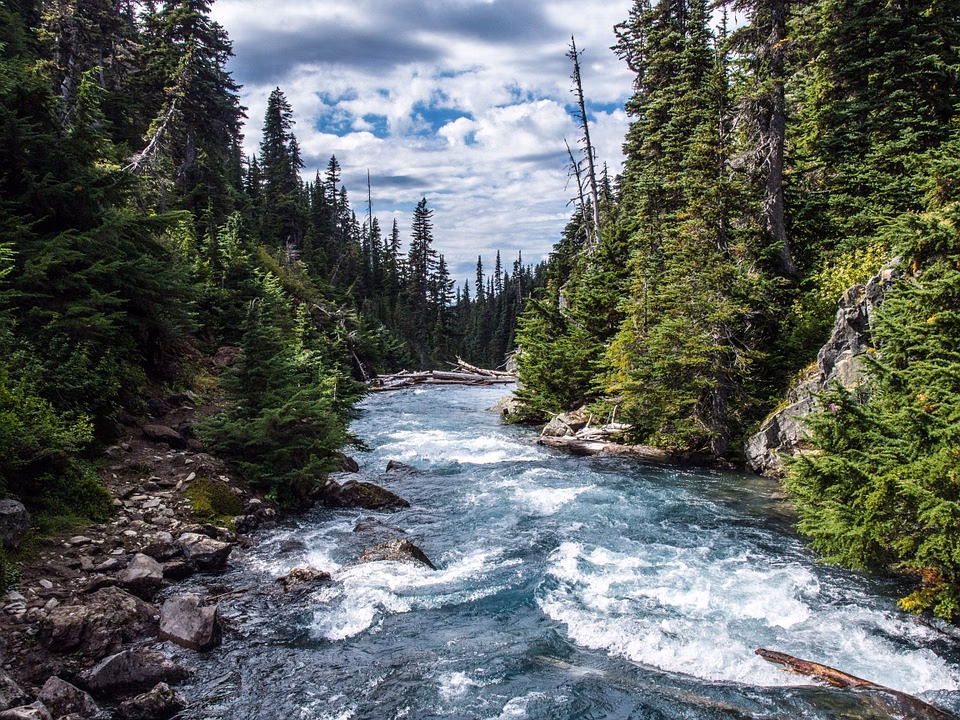 ¿Cómo reducir la contaminación en ríos y océanos?