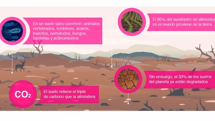 ¿Cómo reducir la contaminación del suelo?