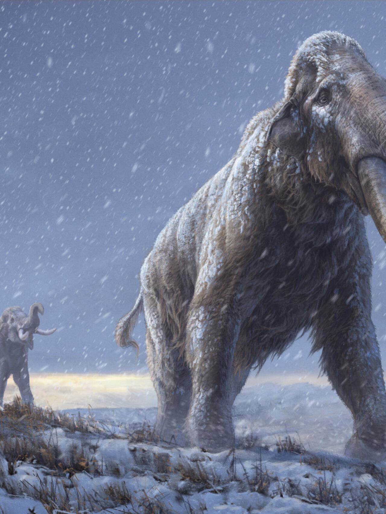 ¿Cómo pueden los mamuts ayudar a restablecer el equilibrio ecológico?