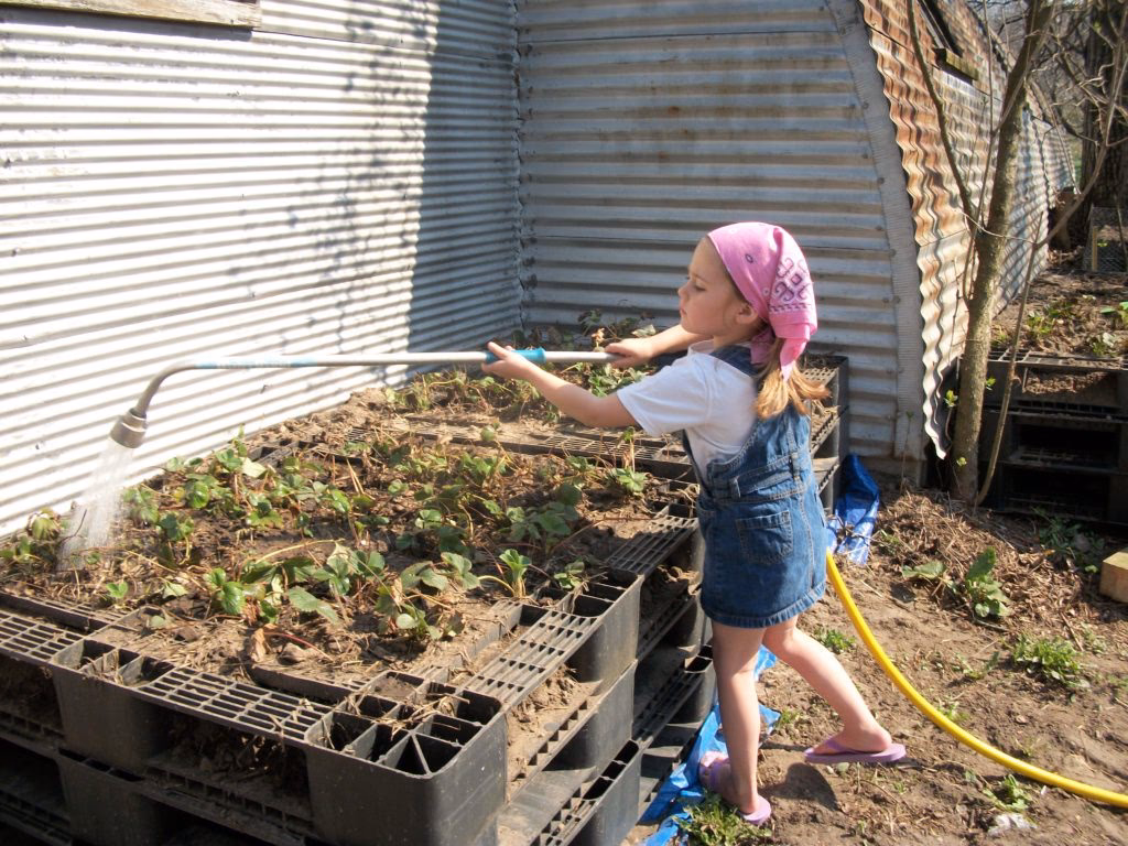¿Cómo se fabrican los palets de plástico?
