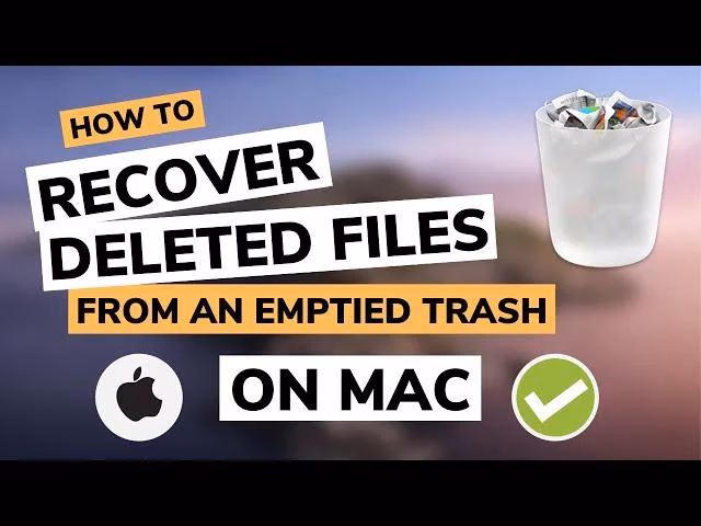 ¿Cómo recuperar archivos borrados?