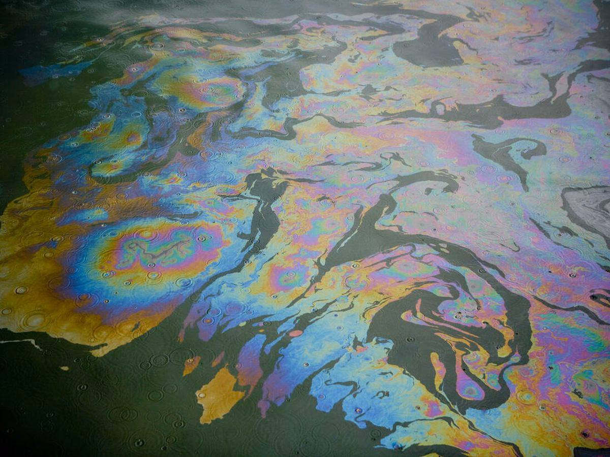 ¿Cómo contamina el agua el aceite vegetal?