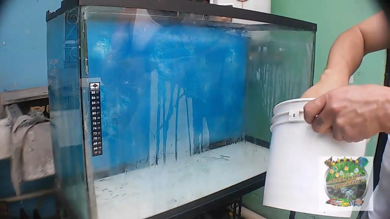 ¿Cómo quitar el sarro naturalmente?