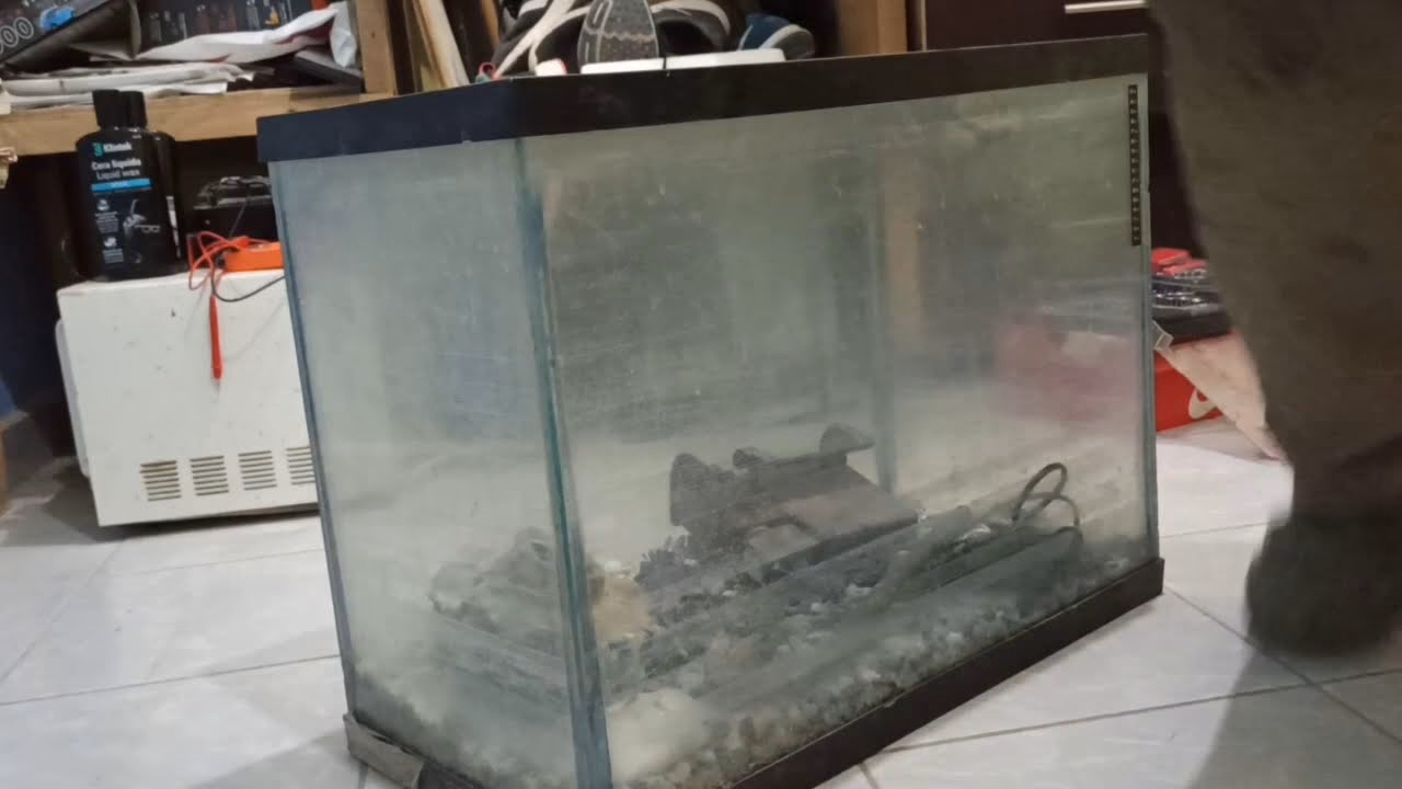 ¿Cómo eliminar el sarro en la boca?