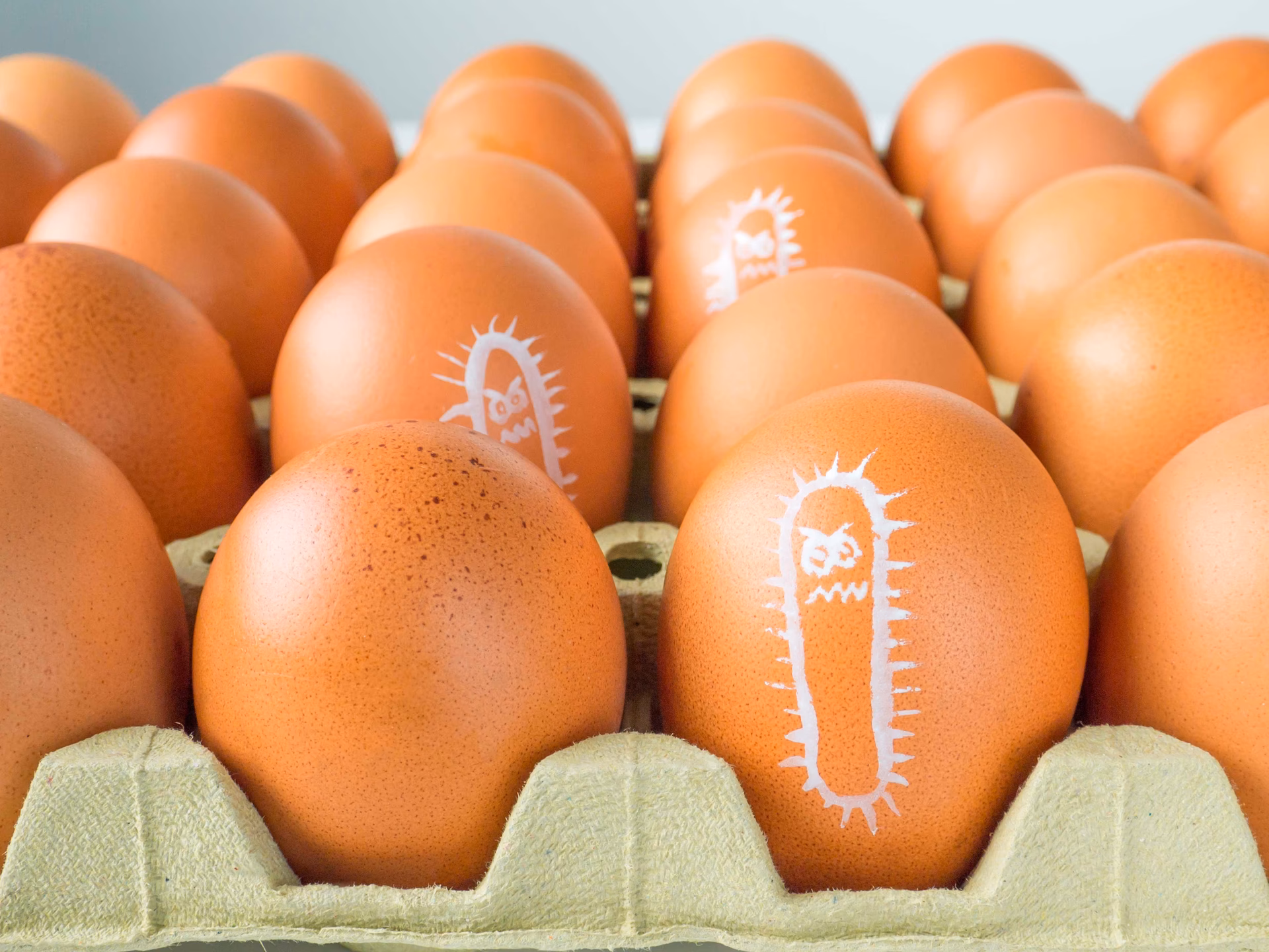 ¿Cómo puede pasar la bacteria al huevo?