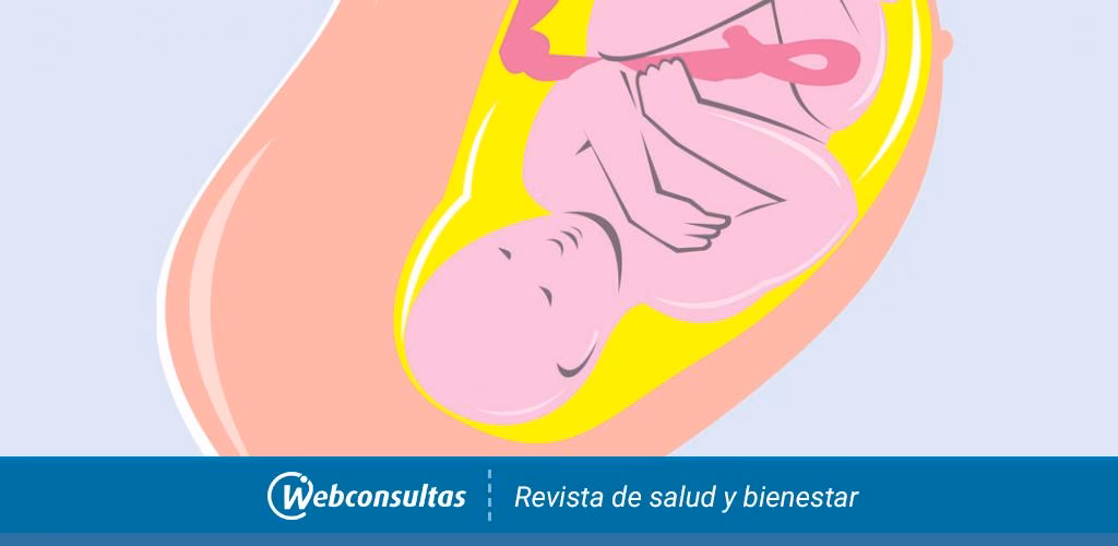 ¿Cómo afecta el líquido amniótico a los pulmones?