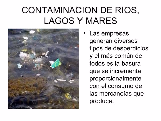 ¿Cómo se contaminan los mares?