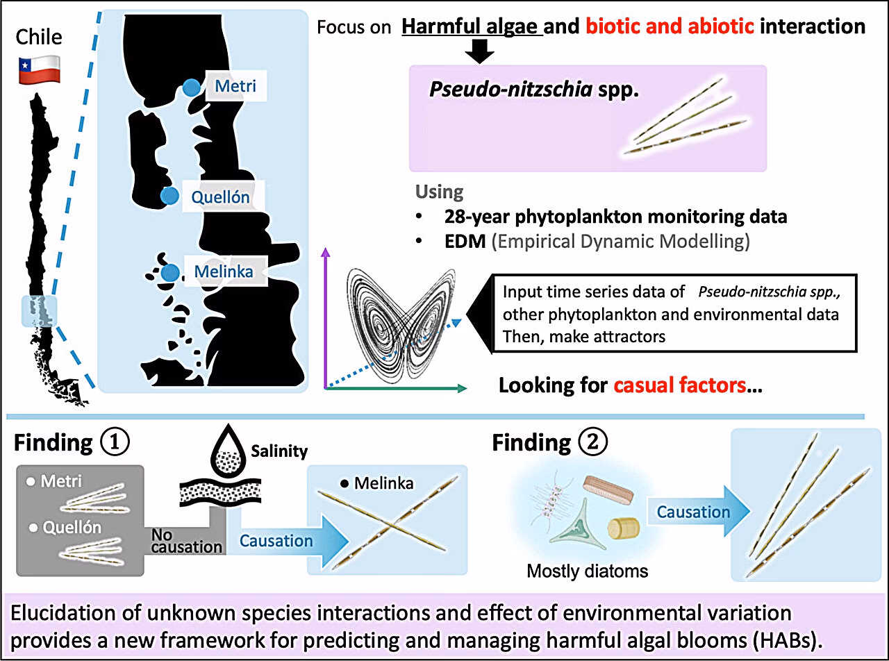 ¿Cuáles son las toxinas de los mariscos?
