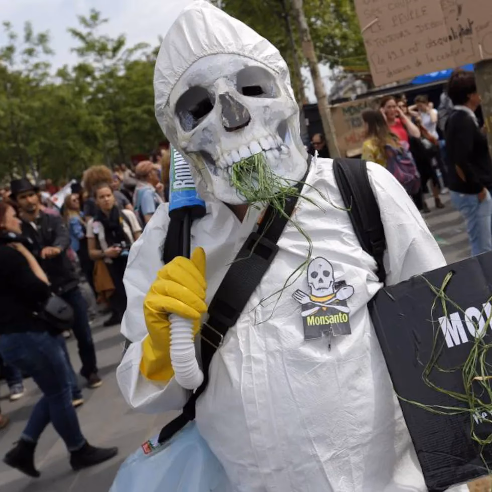 ¿Cuál es el impacto de la actividad de Monsanto sobre los productores?