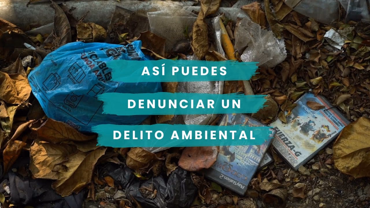 ¿Cuántas denuncias se han tenido en el caso de la contaminación ambiental?