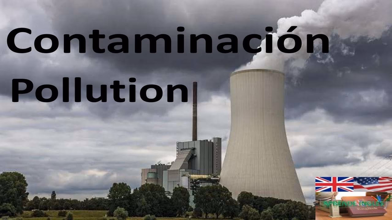 ¿Cuál es la conjugación del verbo contaminar?