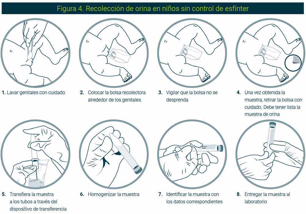 ¿Cuáles son los organismos extraños que contaminan las muestras?
