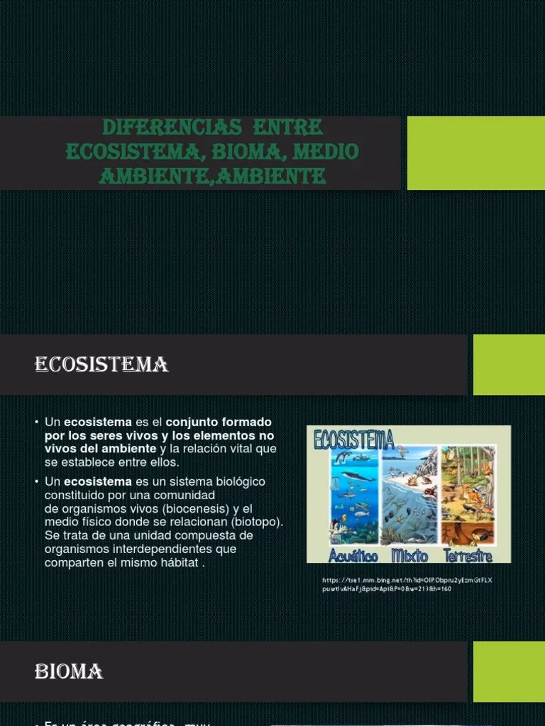 ¿Cómo se relacionan los seres vivos de un ecosistema?