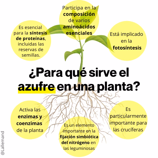 ¿Cómo se elimina el azufre en los combustibles?