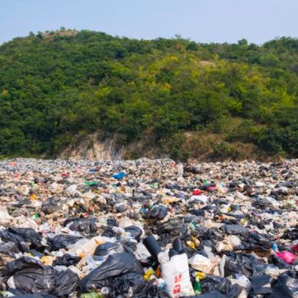 ¿Cuáles son los problemas de la contaminación?