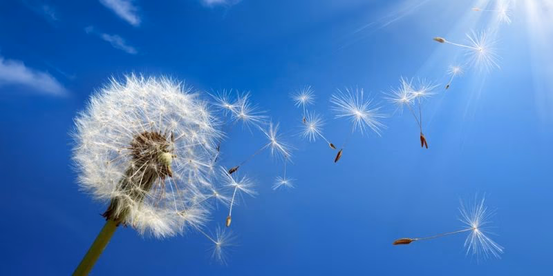 ¿Cuáles son los componentes del aire?